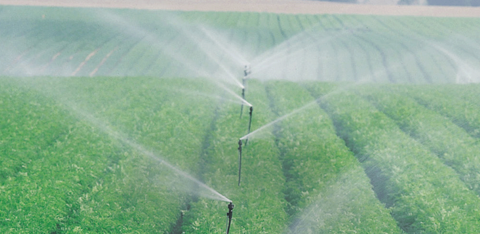 Blog at Jains Re engineering the sprinkler